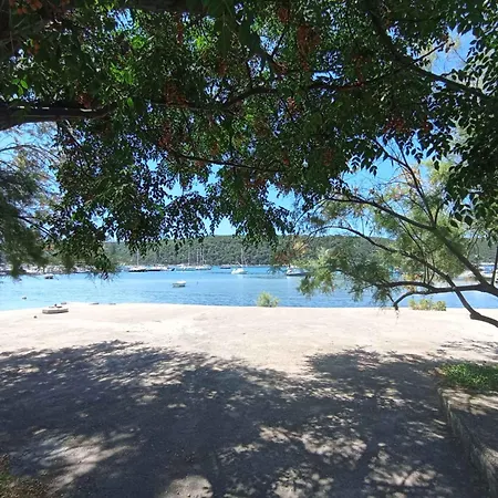 In - Insel Rab 43962 Appartamento Kampor